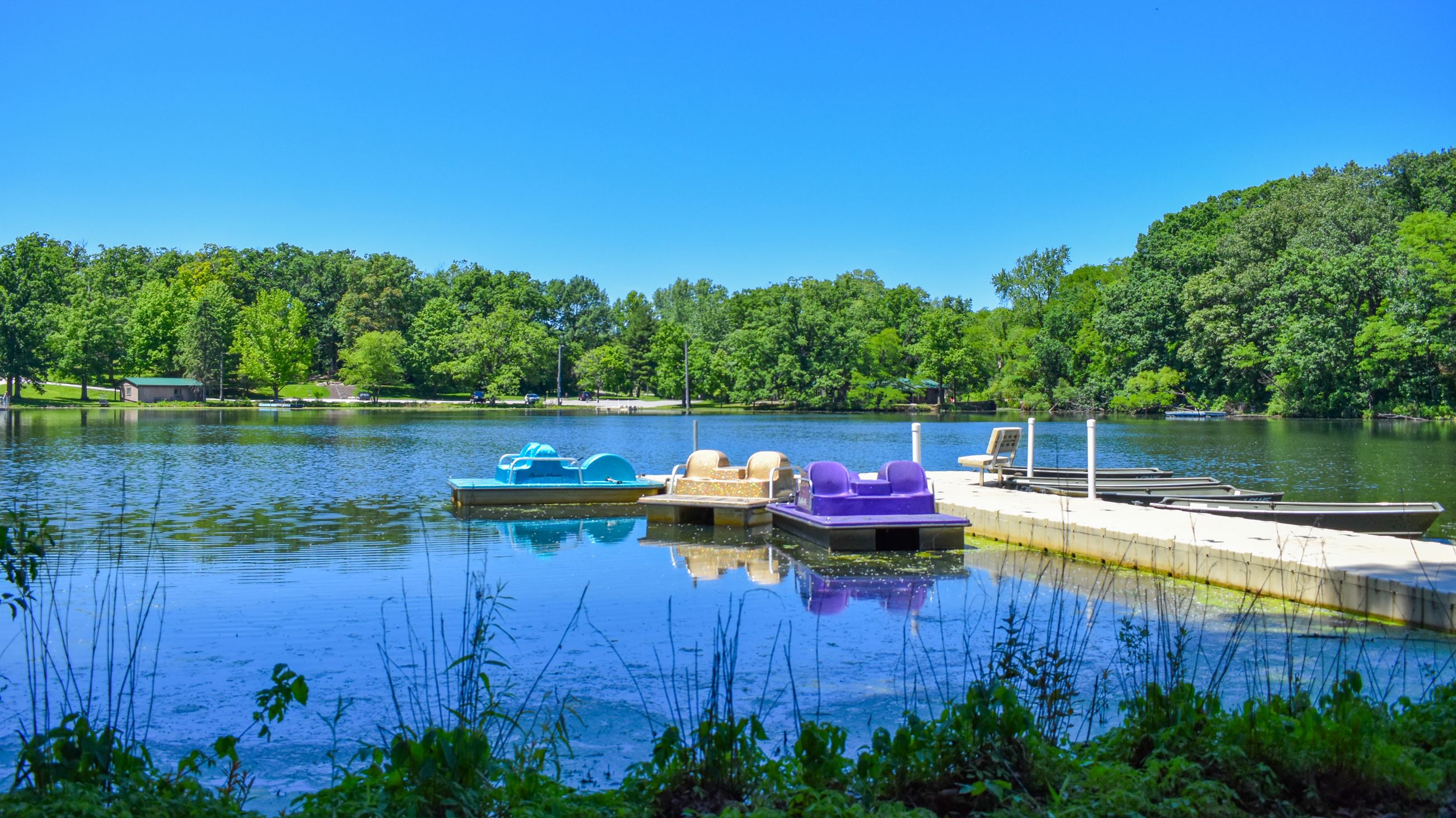 Rogers Lakewood Paddle Boats